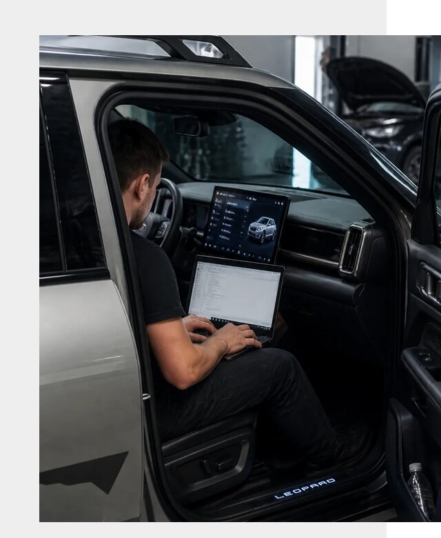 Русификация BYD Leopard 3 в Ельце по цене от 20433 р. | ФастМобиль-Елц