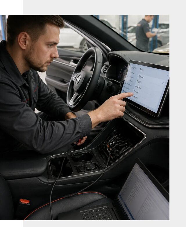 Профессиональная русификация BYD SONG Plus в Ельце